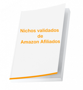 Nichos Amazon guía